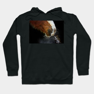 Horse and Mouse Hoodie